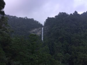 img_4140
