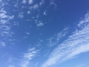 img_4581