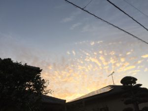 img_5415