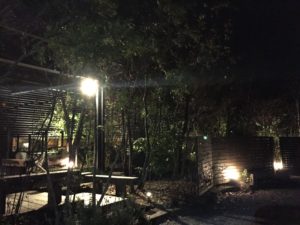 IMG_5465