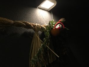 IMG_5508