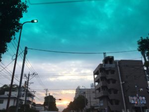 IMG_5592
