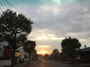 IMG_5593