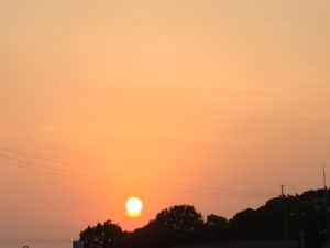 IMG_5702